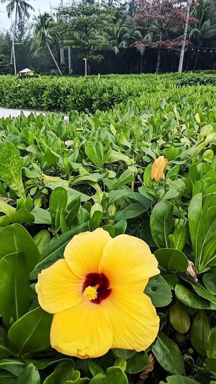 Anna Beach Phú Quốc Eksteriør billede